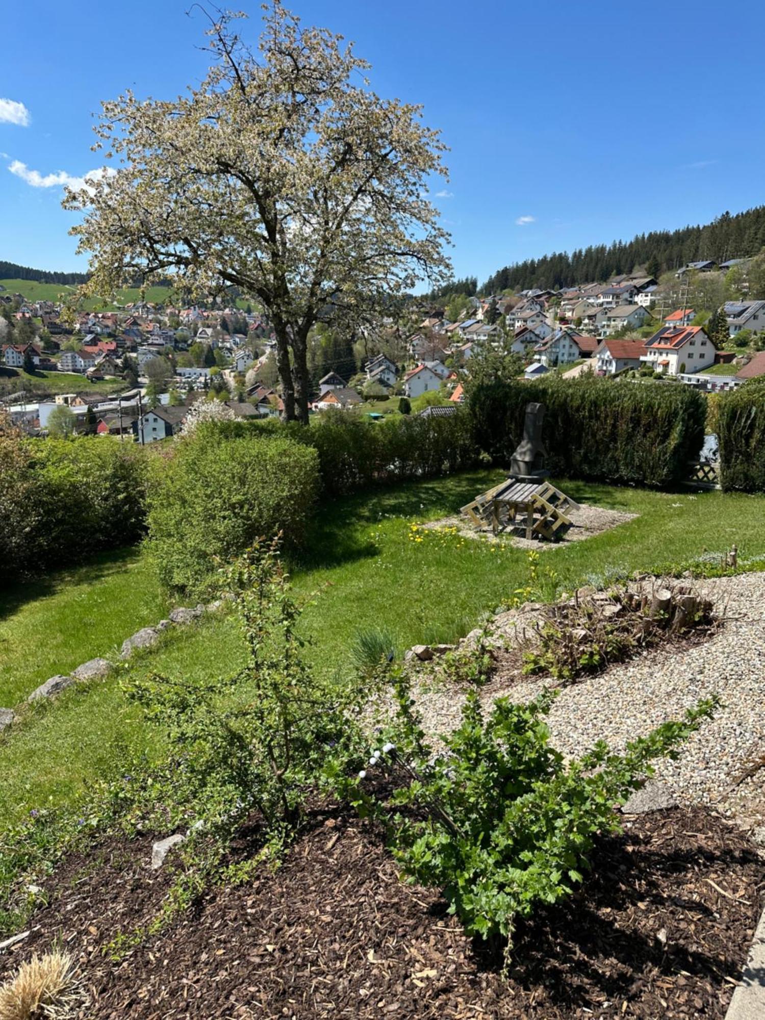 Sonneck Schonach Schonach im Schwarzwald Exterior foto